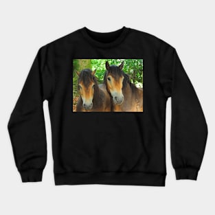 We Stick Together Crewneck Sweatshirt